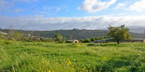 الأخضر يلون بيرزيت