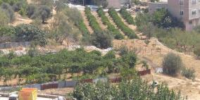 خاص | أوامر عسكرية جديدة تستهدف أراضي زراعية في بيت أمر