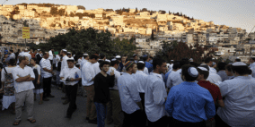  أكثر من 500 مستوطنا يهاجمون  بيتا