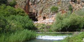 ارتفاع عدد إصابات وباء "البريميات" إلى 42