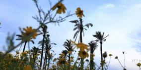 الطقس: أجواء صيفية والحرارة حول معدلها السنوي العام