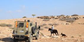إرهاب المستوطنين يحاصر رعاة الأغنام في الأغوار الشمالية