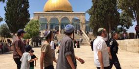 مستوطنون يستأنفون اقتحاماتهم للمسجد الأقصى