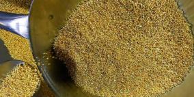 الذهب يقفز بدعم من هبوط الدولار