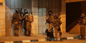 الاحتلال يعتقل 11 موطنا من الضفة والقدس