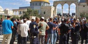 44 مستوطنا يقتحمون المسجد الأقصى