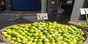 "جنون الليمون" يثير الجدل والسخرية في مصر.. والحكومة تعلّق