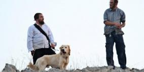 مستوطنون يهاجمون المركبات المارة جنوب جنين