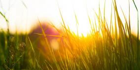 حالة الطقس: انخفاض طفيف على درجات الحرارة