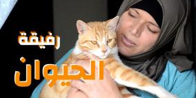 رفيقة الحيوان..حتى في سجون الاحتلال!