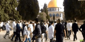 مستوطنون يجددون اقتحامهم للمسجد الأقصى