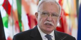 المالكي: نعد شعبنا بمزيد من الإنجازات الدبلوماسية عام 2020