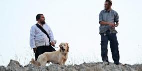 مستوطن يعتدي على طفل وسط الخليل