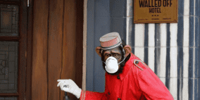 بيت لحم: كمامة على فم قرد خوفا من كورونا