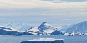 عفن قديم في القطب الشمالي قد يصبح دواء جديدا لعلاج السرطان