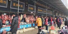 أول مدينة صينية تحظر بيع واستهلاك لحوم الكلاب والقطط