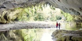 تاها 18 يوما في غابة "مملكة الخواتم".. ثم "حدثت المعجزة"