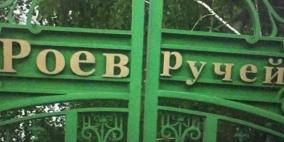 سيبيريا: طفرة في مواليد حديقة حيوانات بسبب فيروس كورونا