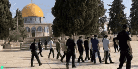 156 مستوطنا يقتحمون الأقصى