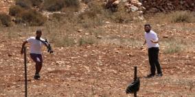 3 اصابات في اعتداء للمستوطنين جنوب نابلس