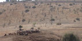 مستوطنون يقيمون حظيرة مواشي في الأغوار