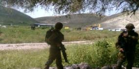 الاحتلال يستولي على أبقار  بالأغوار الشمالية