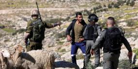 مستوطنون يعتدون على رعاة أغنام جنوب الخليل