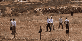 مستوطنون يقتلعون عشرات الأشجار ويعتدون على المواطنين في بيت أمر