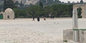 طواقم الاحتلال تنفذ أعمال مساحة في المسجد الأقصى وقبة الصخرة