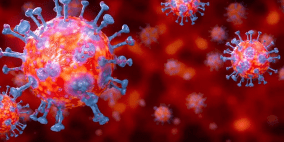 اغلاق "صحة" رام الله والبيرة ليومين بسبب "كورونا"