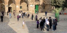 بالصور.. مستوطنون يقتحمون باحات الأقصى وسط حراسة مشددة
