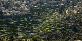 مواطنون يمنعون مستوطنين من تجريف أراضي غرب بيت لحم 