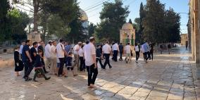 مستوطنون يؤدون صلوات تلمودية استفزازية في الأقصى
