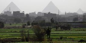 مصر تنجح في زراعة المحصول الأول من نوعه لمواجهة أزمة المياه