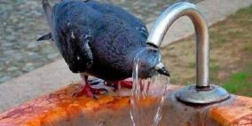 الطقس.. استمرار الأجواء شديدة الحرارة