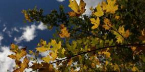 طقس فلسطين.. أجواء خريفية معتدلة