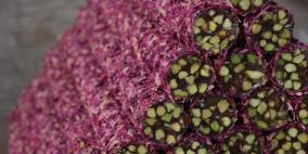 راحة الحلقوم النابلسية.. صناعة تتوارثها عائلة عياد منذ 100 عام