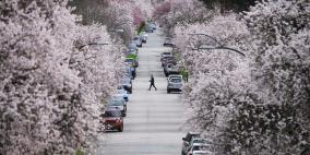 تغريم أستاذ جامعي في ألمانيا لاحتلاله شجرة !!