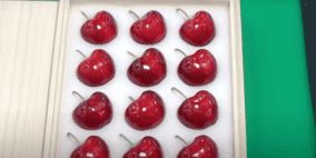 من اليابان.. حبة كرز واحدة بـ 300 دولار تقريبا!