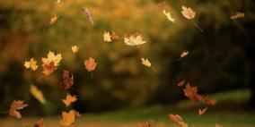 الطقس: أجواء خريفية والفرصة مهيأة لسقوط أمطار محلية