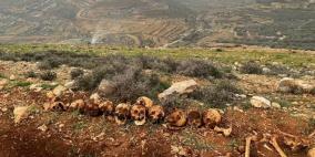 الجيش الأردني يرسل فريقا عسكريا لفحص "الرفات" في القدس
