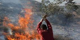 مستوطنون يضرمون النار بحقول زراعية في مادما جنوب نابلس