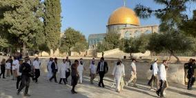 عشرات المستوطنين يقتحمون "الأقصى"