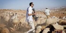 مستوطنون يمنعون مزارعين من رعي مواشيهم في الأغوار الشمالية