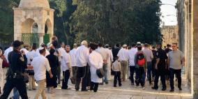 مستوطنون يقتحمون المسجد الأقصى في اليوم السابع من "عيد العرش"