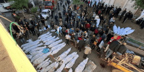 مقررة أممية: لا يمكن وصف ما يحدث بغزة إلا بإبادة جماعية