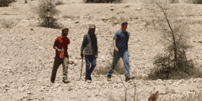 مستوطنون يجرفون أراضي في سالم شرق نابلس