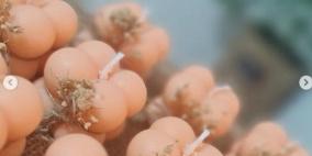 خاص | من الأدب الإنجليزي إلى ريادة الأعمال.. "شغف" شموع يتحول إلى مشروع ناجح