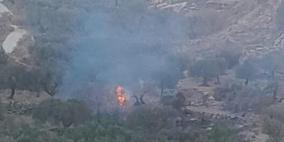 مستوطنون يضرمون النيران في أراضٍ زراعية شمال شرق رام الله