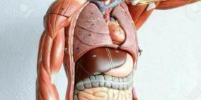 📚📚7 معلومات شيقة عن جسمك تعرف عليها الان